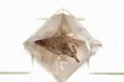 画像3: 【1点限り】神秘の天然アイリススモーキークォーツピラミッド(ブラジル産バイア)70mm (3)