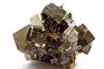 画像1: 希少価値あり!黄鉄鉱パイライト水晶共存体結晶(ペルー産) (1)